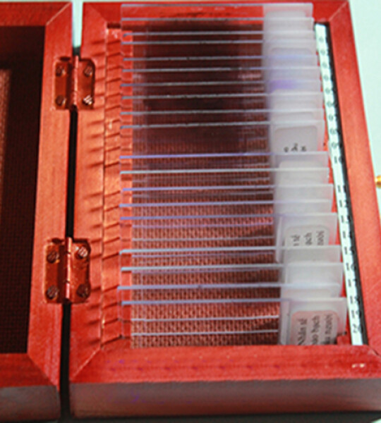 Hộp tiêu bản nhân thể (7 miếng/hộp)