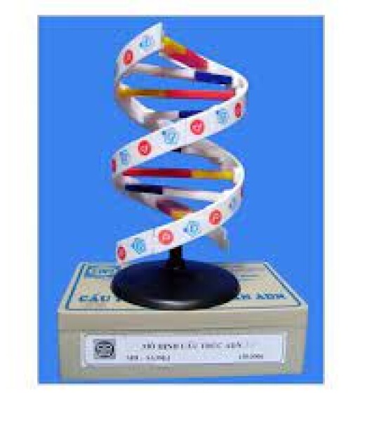 MH cấu trúc không gian AD N (L9)