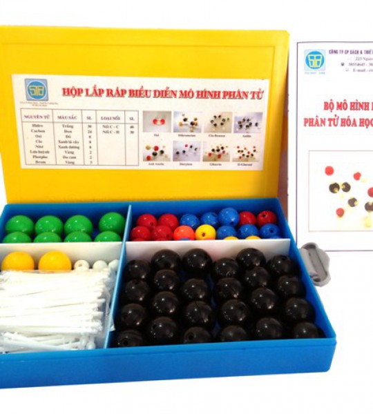 Mô hình phân tử dạng rỗng